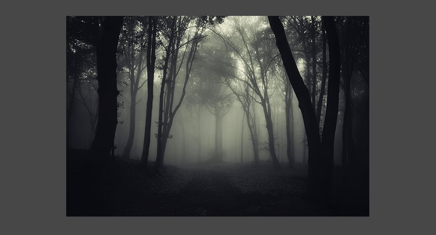 Use an existing photograph