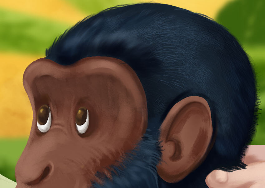 Chimpanzee Head Detail