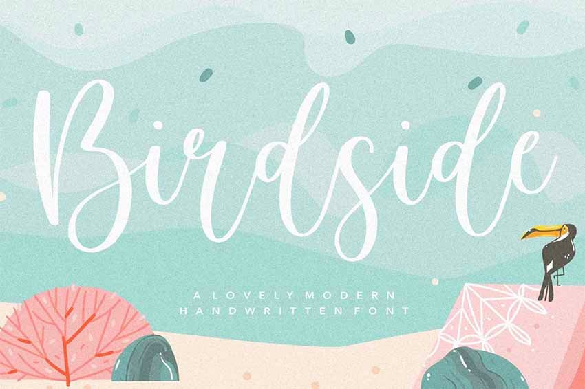 Birdside Script Font