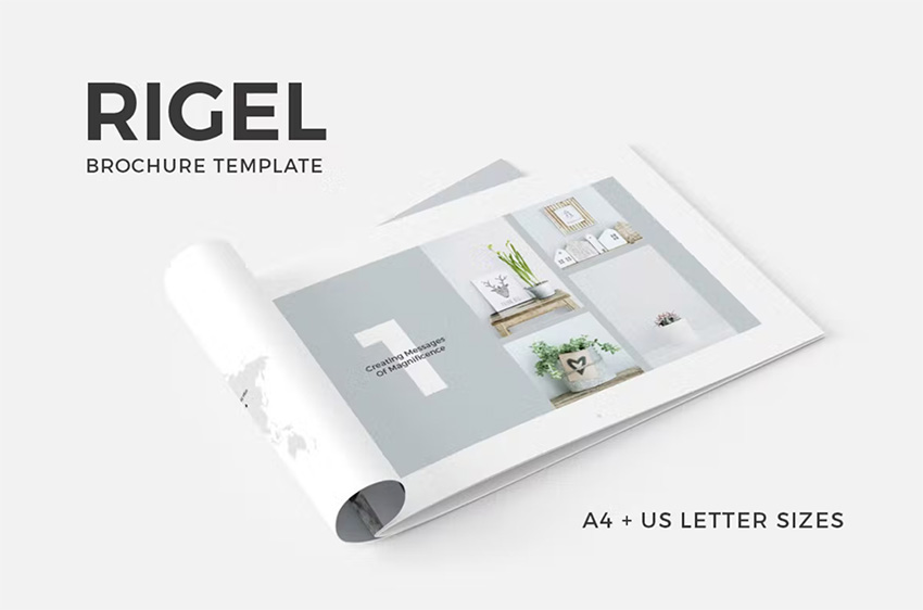 Rigel brochure