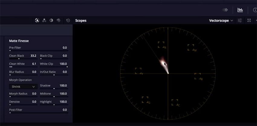 skin tones in vectorscope