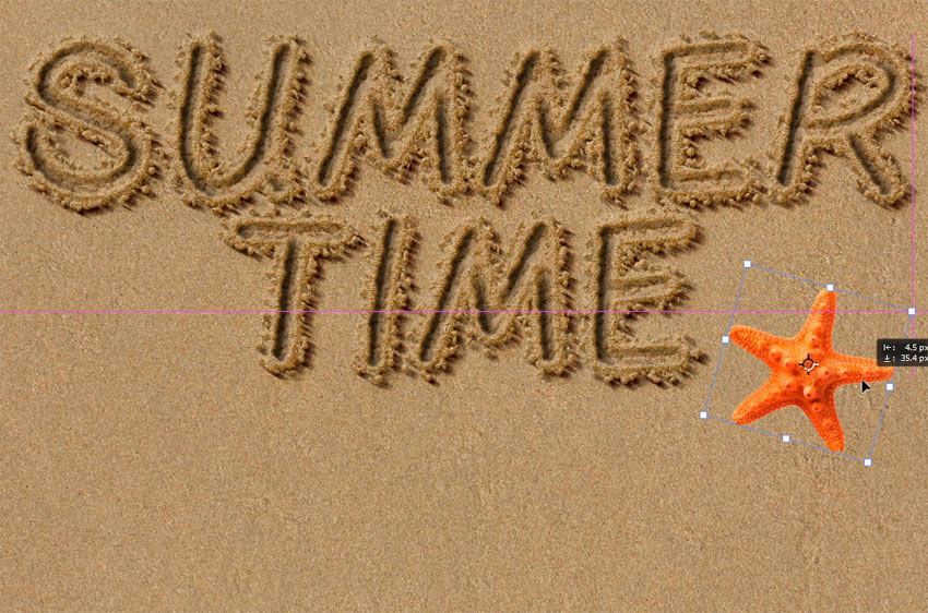 position the starfish