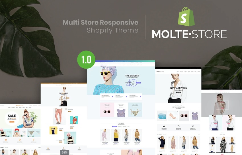 MolteStore shopify template