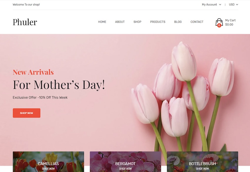 Phuler Shopify theme