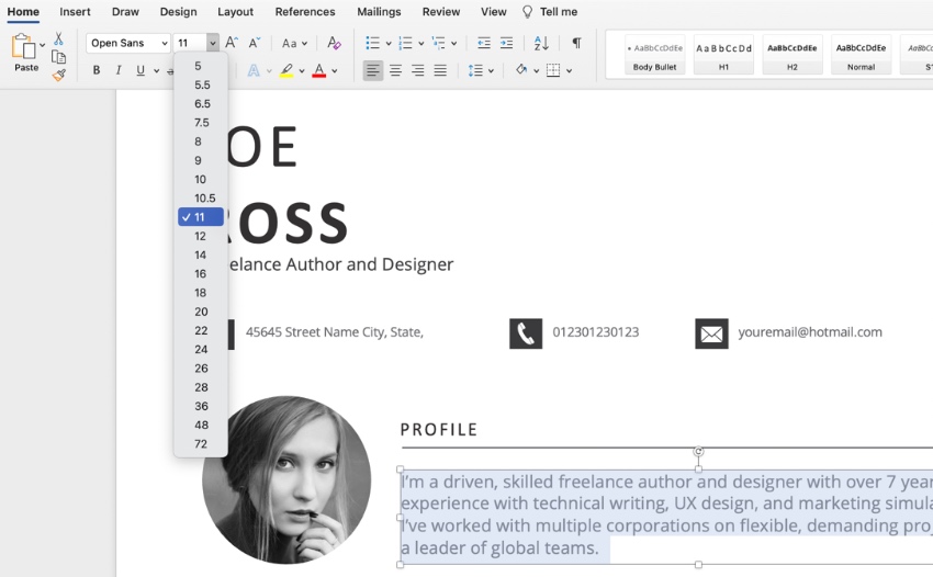 Font CV template Doc