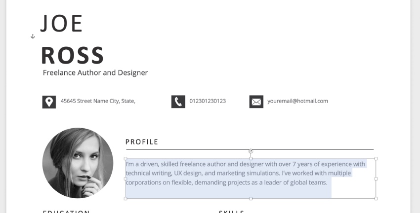 Text resume templates Word
