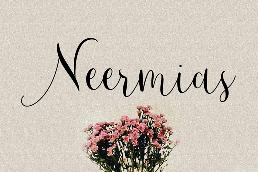 Neermias Modern Calligraphic Letters