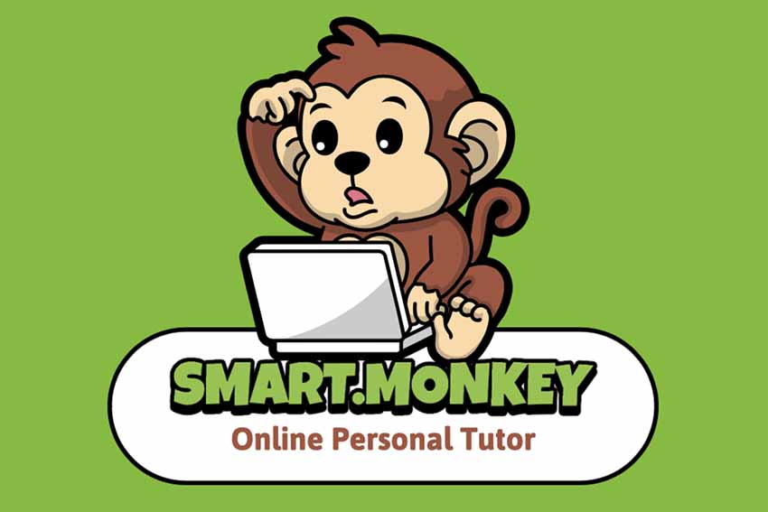 Smart Monkey Design