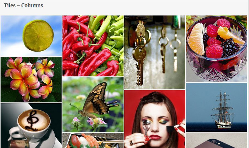 Unite Gallery - WordPress Gallery Plugin