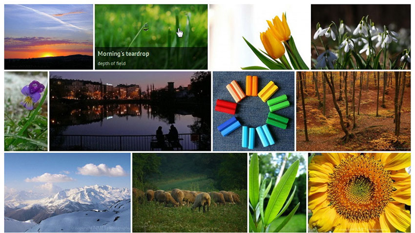 Justified Image Grid - Premium WordPress Gallery