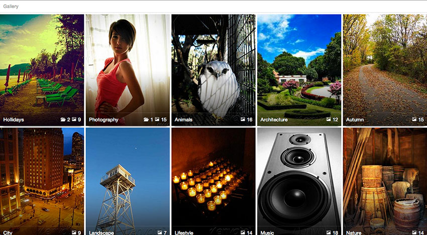 Grid Gallery WordPress Plugins