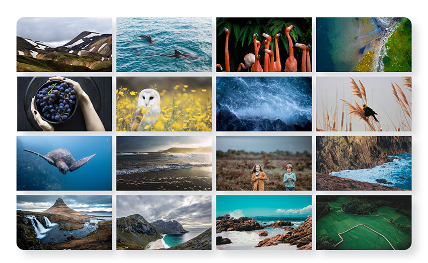 Download Photo Gallery by 10Web