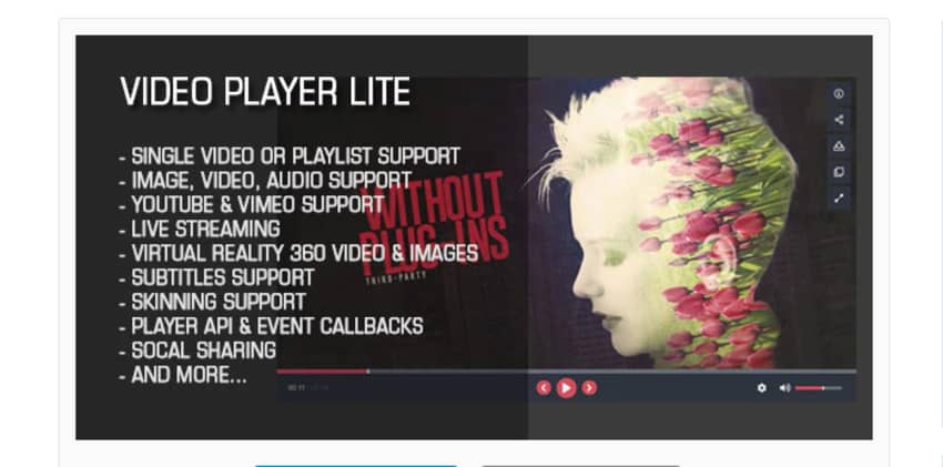 Video player lite