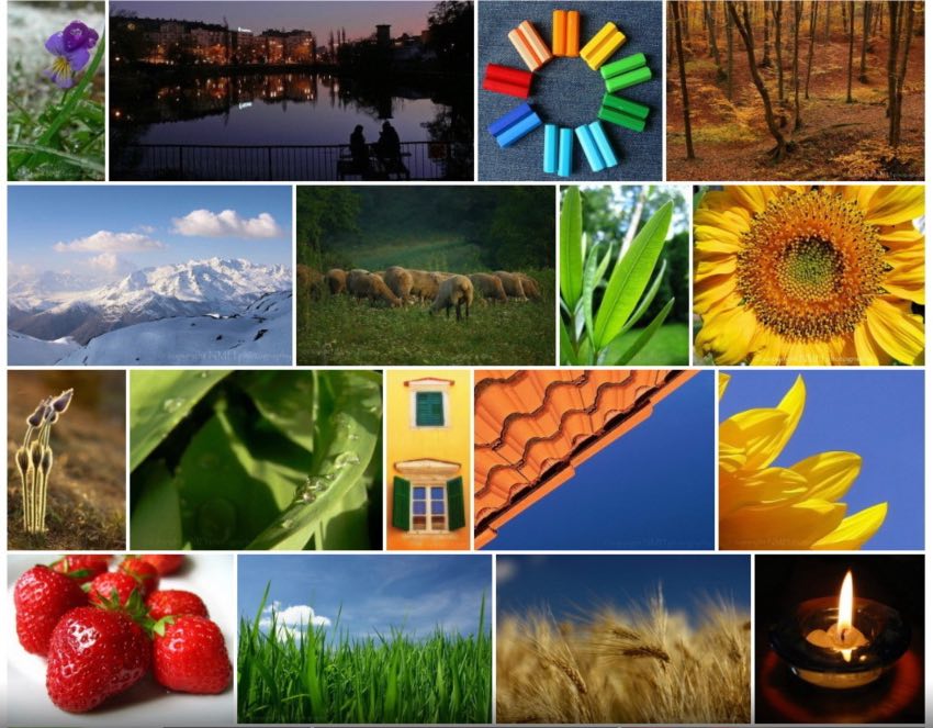 Justified Image Grid - Premium WordPress Gallery