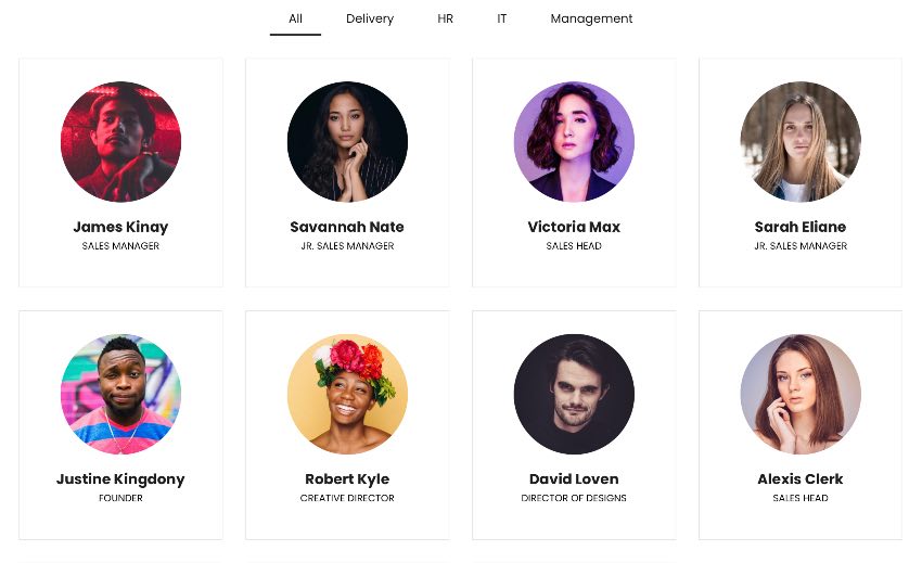The Team Pro - Team Showcase WordPress Plugin