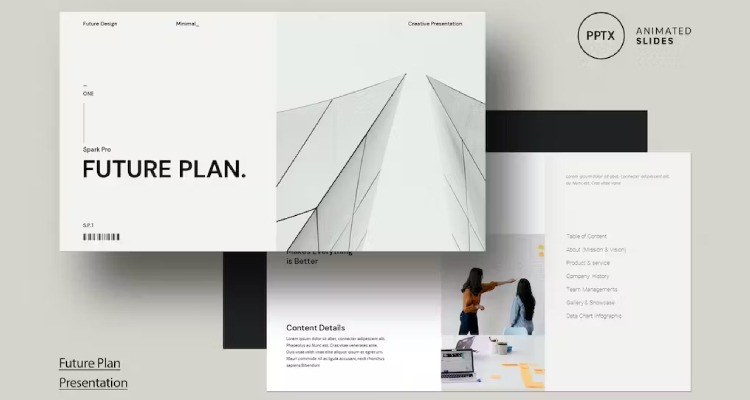 Future Plan Template