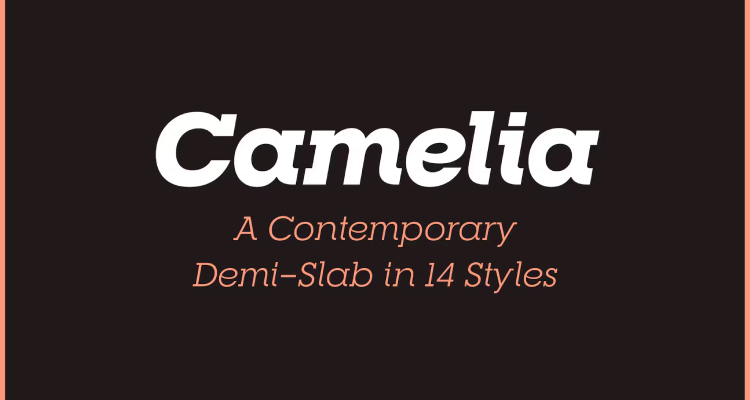 RNS Camelia - Premium Graphic Font