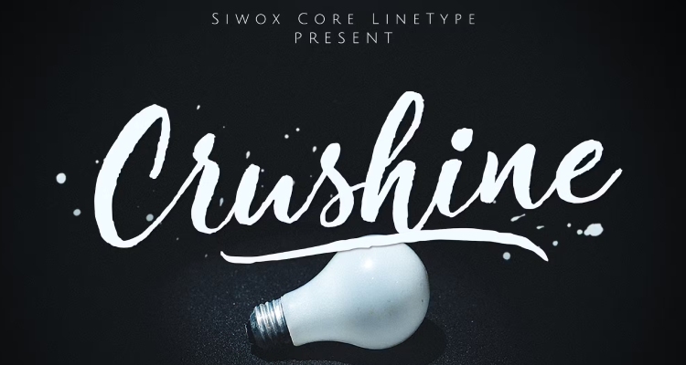 Crushine Wet Brush