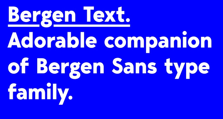 Bergen Text Sans Serif Font