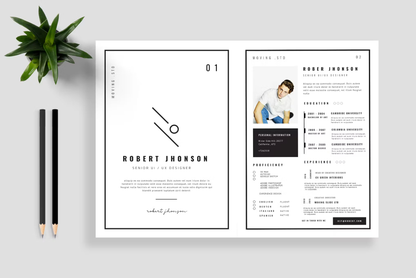 Creative Professional Resume Template  One of the creative resume examples that is trending in 2018