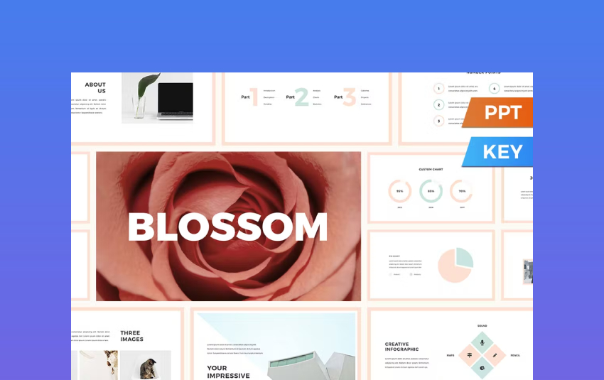 Blossom - Soothing Presentation Template