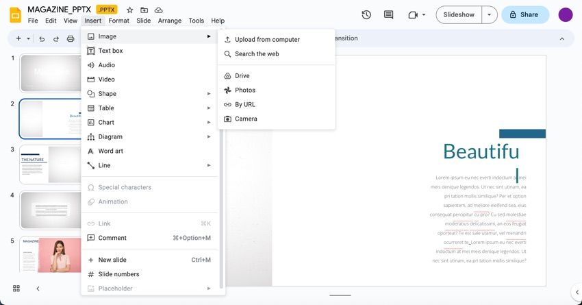 Click the Insert menu option and then select the Image option.