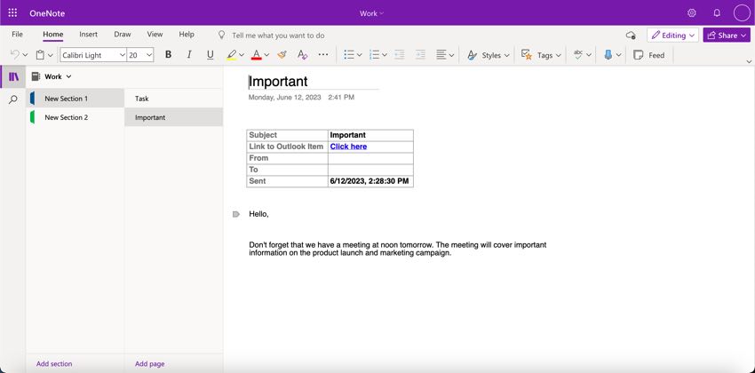 This is what the email in OneNote will look like.