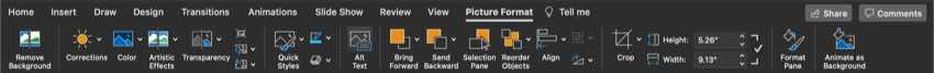 Picture format menu