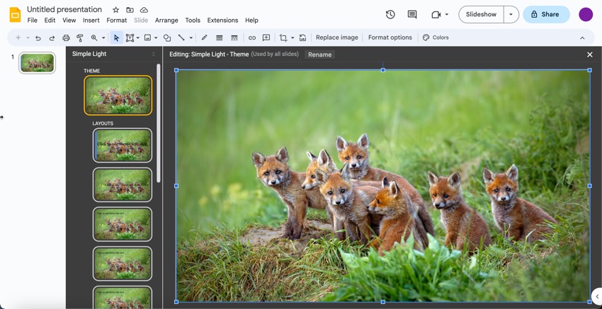 The downloaded image appears on the master slide. (Image Source: Envato Elements)