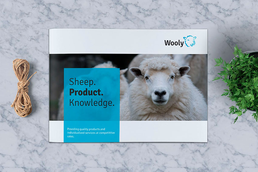 See how the transparency looks in this InDesign brochure template.