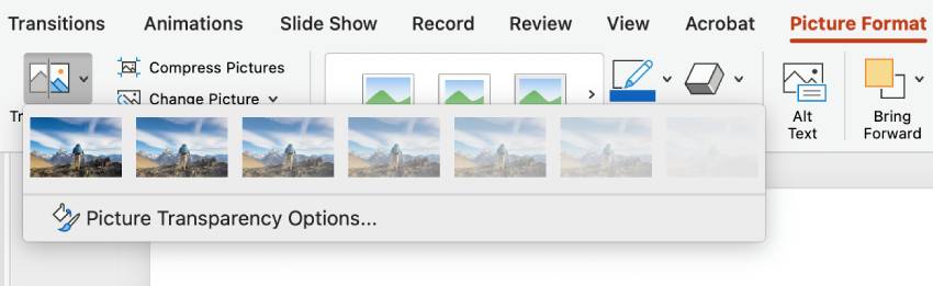 Make Image Transparent in PowerPoint Step 2