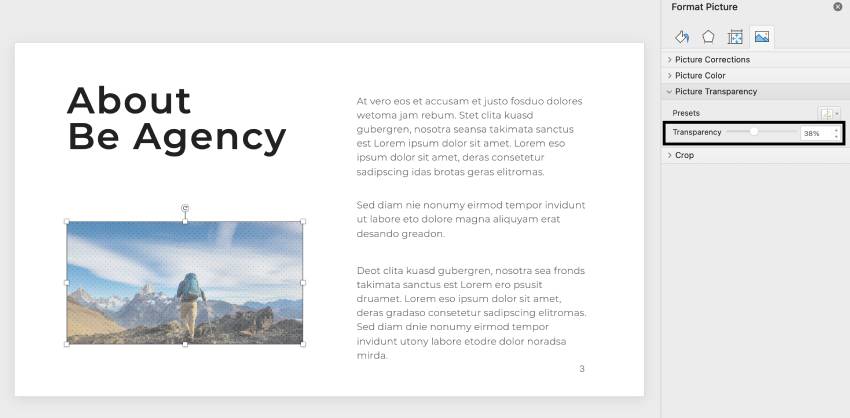 Make Image Transparent in PowerPoint Step 3