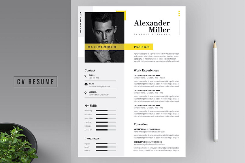 2022 CV Format DOC Word