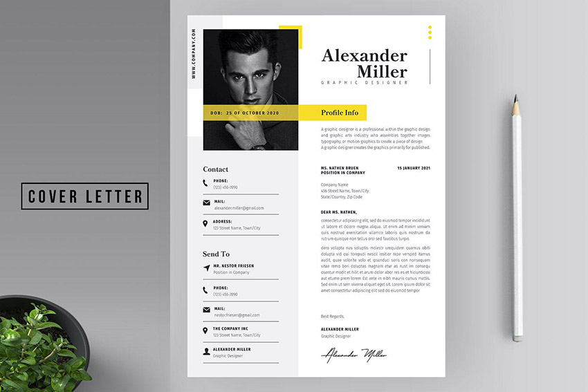 Professional CV Format Word