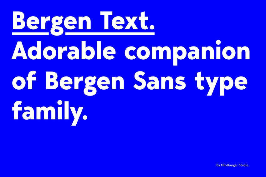 Bergen Text Sans Serif Typography