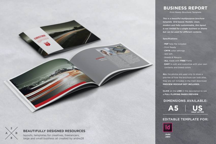 Business Report Editable Brochure Template