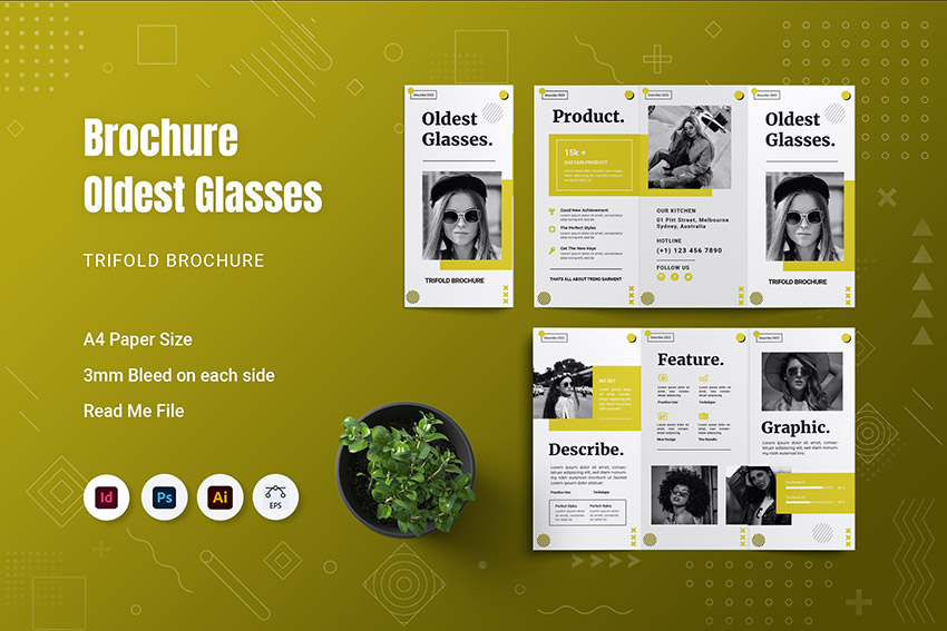 Oldest Glasses Professional Brochure