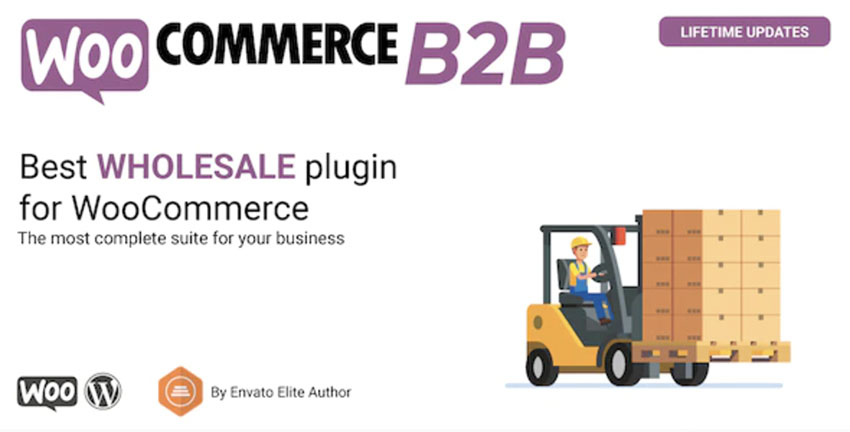 Best Shipping B2B Plugin for WooCommerce