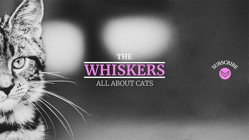 YouTube Channel Banner Maker