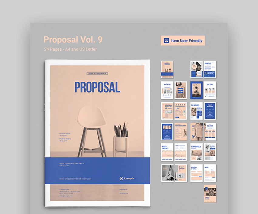 Graphic Design Proposal Template InDesign