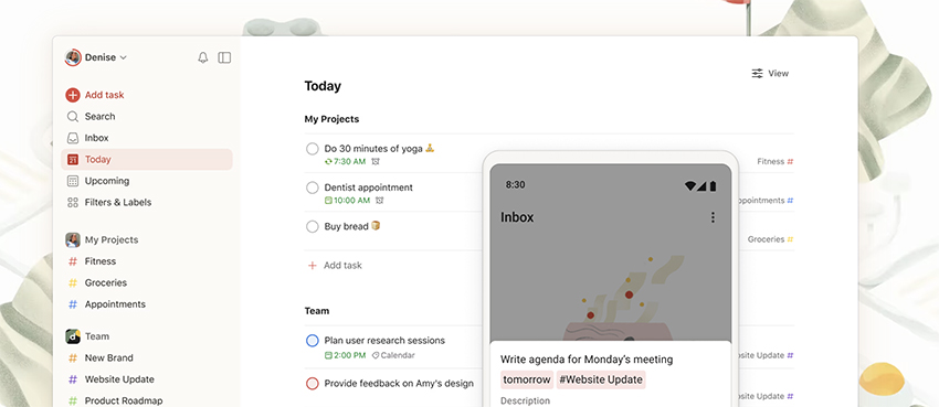 Todoist Online Task Manager