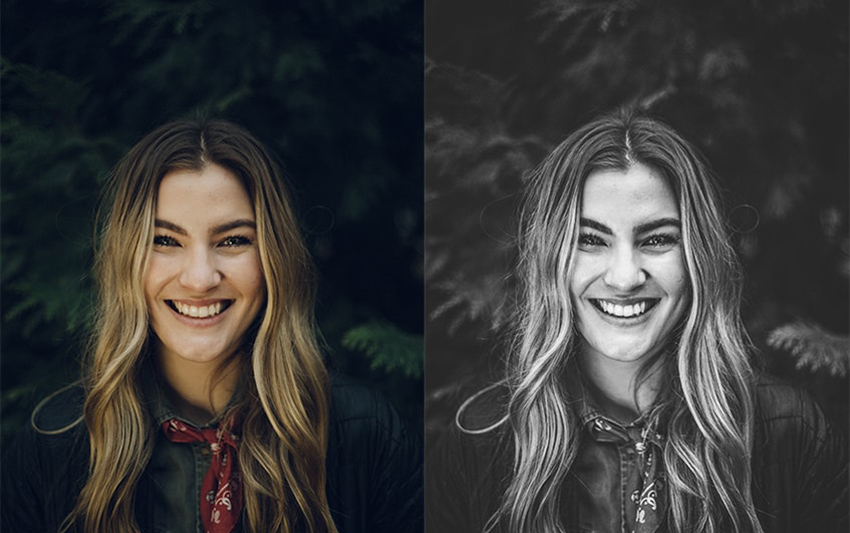 Instant Black White Preset