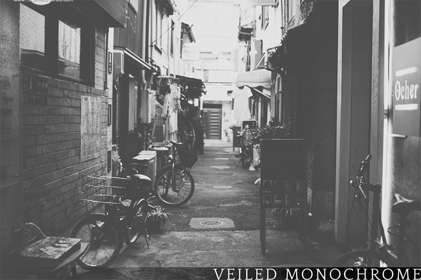 Free Veiled Monochrome Photoshop Action