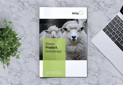 Professional Brochure