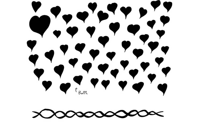 free miscellaneous brushes