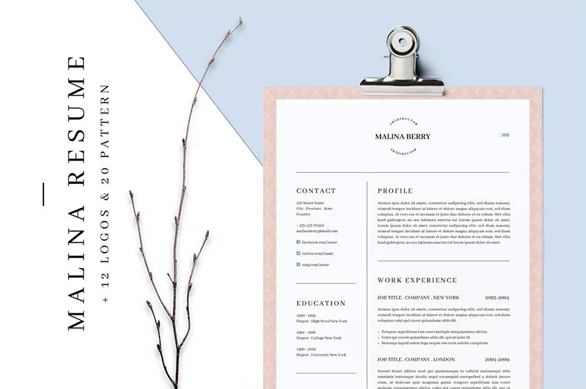 CV with creative design and logos