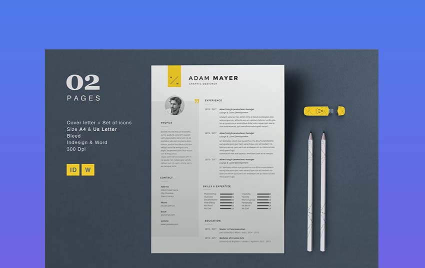 professional resumes