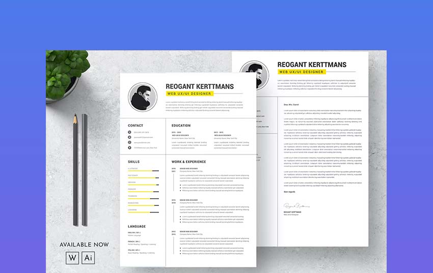 professional layout resume