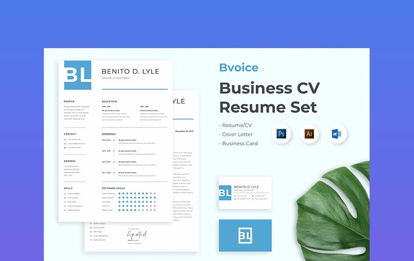 professional resume set