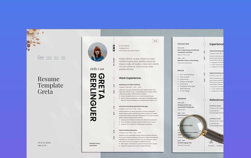 professional resumes